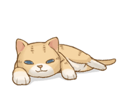 Cat's Lifestyle-Move!(Chinese Ver.) sticker #14267881