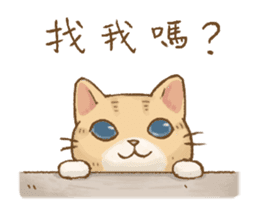 Cat's Lifestyle-Move!(Chinese Ver.) sticker #14267883