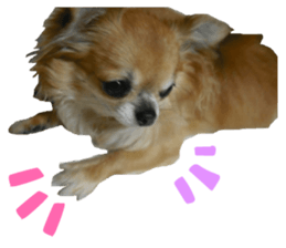 Julia sticker #14268614