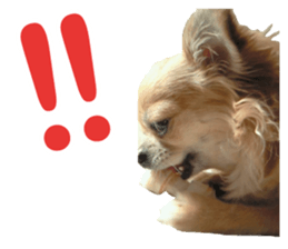 Julia sticker #14268615