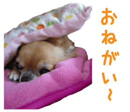 Julia sticker #14268618