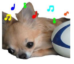 Julia sticker #14268621