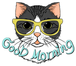 Encouragement wording with animal faces sticker #14270070