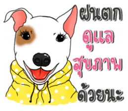 Encouragement wording with animal faces sticker #14270080