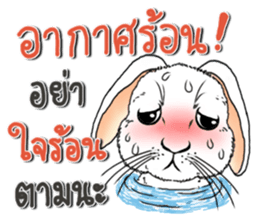 Encouragement wording with animal faces sticker #14270081