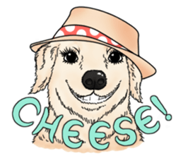 Encouragement wording with animal faces sticker #14270083