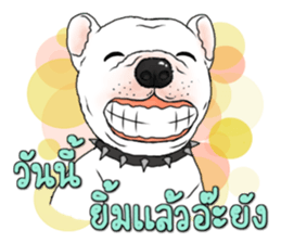 Encouragement wording with animal faces sticker #14270085