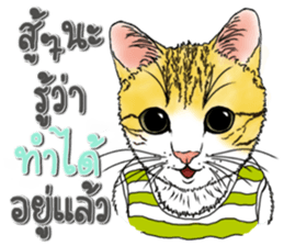 Encouragement wording with animal faces sticker #14270086