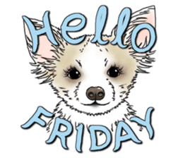 Encouragement wording with animal faces sticker #14270094