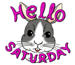 Encouragement wording with animal faces sticker #14270095