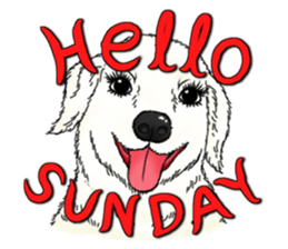 Encouragement wording with animal faces sticker #14270096