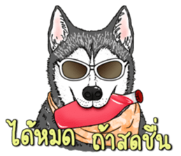 Encouragement wording with animal faces sticker #14270105