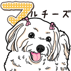 Wanko-Biyori Maltese