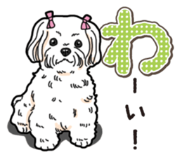 Wanko-Biyori Maltese sticker #14270791