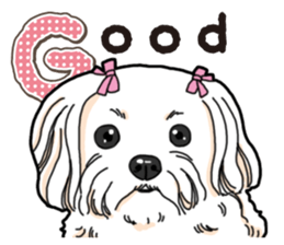 Wanko-Biyori Maltese sticker #14270792