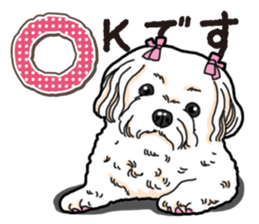 Wanko-Biyori Maltese sticker #14270796