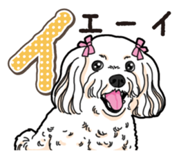 Wanko-Biyori Maltese sticker #14270797
