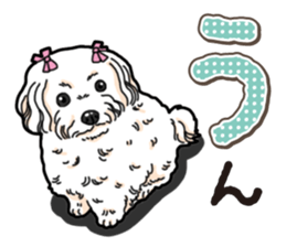 Wanko-Biyori Maltese sticker #14270798