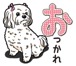 Wanko-Biyori Maltese sticker #14270803