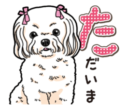 Wanko-Biyori Maltese sticker #14270808