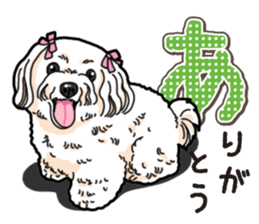 Wanko-Biyori Maltese sticker #14270812