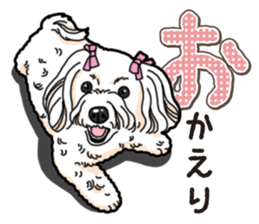 Wanko-Biyori Maltese sticker #14270816