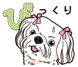 Wanko-Biyori Maltese sticker #14270817