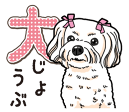 Wanko-Biyori Maltese sticker #14270818