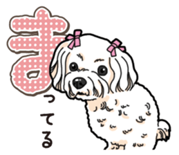 Wanko-Biyori Maltese sticker #14270820