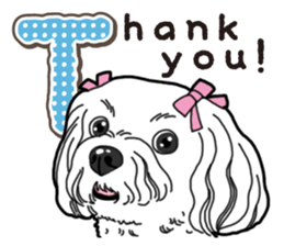 Wanko-Biyori Maltese sticker #14270822