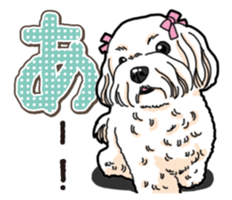 Wanko-Biyori Maltese sticker #14270823