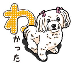 Wanko-Biyori Maltese sticker #14270825