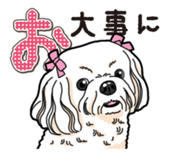Wanko-Biyori Maltese sticker #14270826
