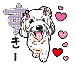Wanko-Biyori Maltese sticker #14270827