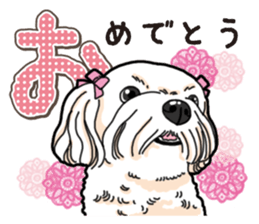 Wanko-Biyori Maltese sticker #14270828