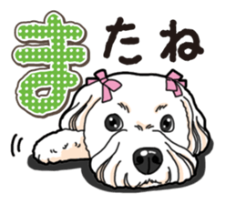 Wanko-Biyori Maltese sticker #14270829