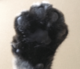 NANA STANP sticker #14272662