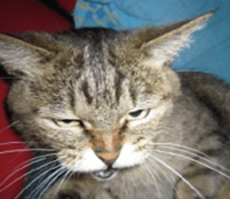 NANA STANP sticker #14272663