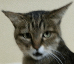 NANA STANP sticker #14272668