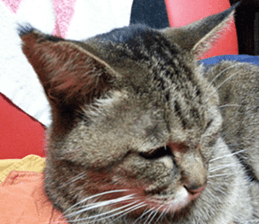 NANA STANP sticker #14272675