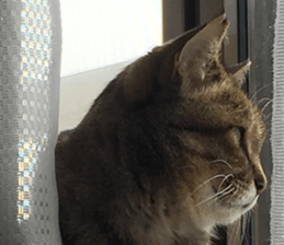 NANA STANP sticker #14272691