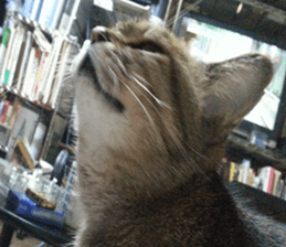 NANA STANP sticker #14272692