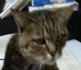 NANA STANP sticker #14272696