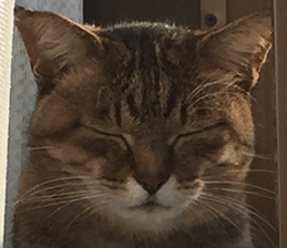 NANA STANP sticker #14272700