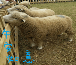 Kiki life language sticker #14273367