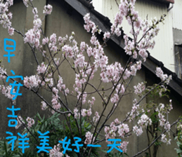 Kiki life language sticker #14273368