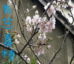 Kiki life language sticker #14273369