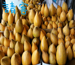 Kiki life language sticker #14273371