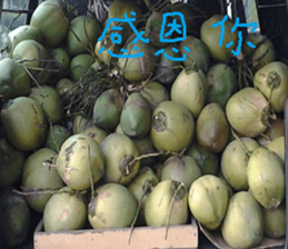 Kiki life language sticker #14273372