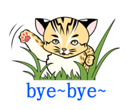 cute Leopard Cat. sticker #14273400